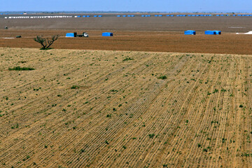 Vista aerea  Campo agricola no cerrado. Maranhão