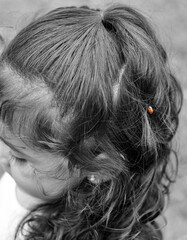Ladybug on child's hair