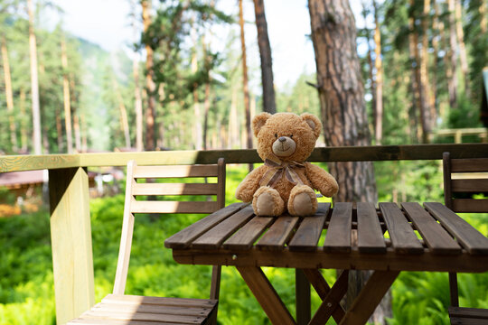 teddy bear sitting on a bench