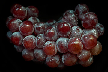 Bunch of grapes with drops of water isolated on black background