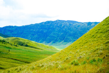 Naklejka premium Green grass field with cloud in the morning. Landscape view of Bromo Savannah