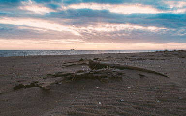 beach in the morning