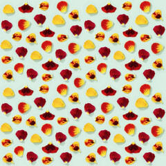 Seamless pattern with natural petals of blossom flowers pansy on paper. Small bright blooms.
