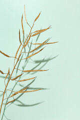 Creative golden painted herbarium grass. Autumn season concept. Gold autumn. Decoration plant on light green paper background