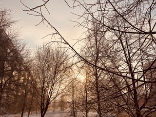 sunset in winter