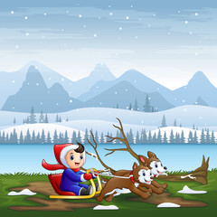 Happy boy riding on a sleigh pulled by two dogs at winter