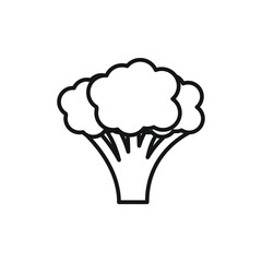 Broccoli icon design isolated on white background. vector illustration