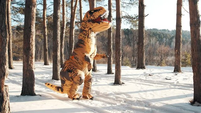 Dinosaur Treks dancing on the snow in winter in the forest.