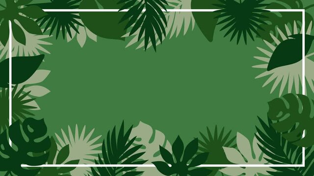 Tropical plant leaves appearing and waving on solid background. Green color palette. 4k botanical frame template with copy space.