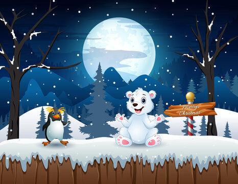 Cartoon a polar bear and penguin in the snow field illustration