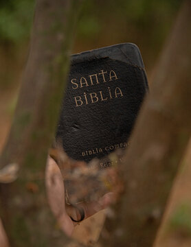 Biblia