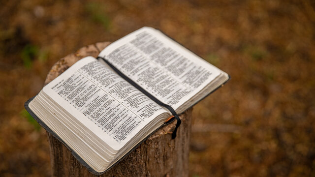 Biblia