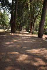 road 