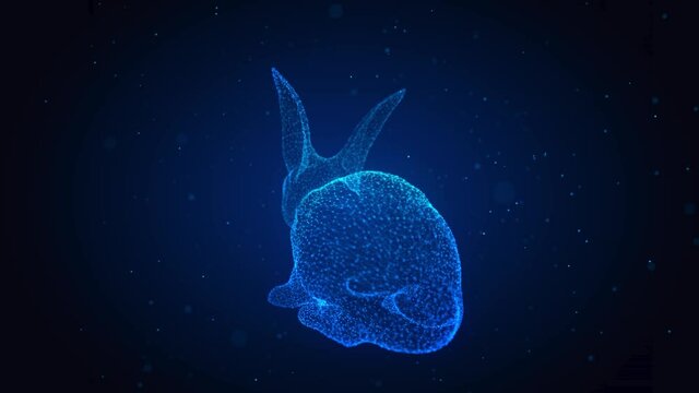 Rabbit wire-frame polygonal line model. Bunny in motion, lines and points connected to form.