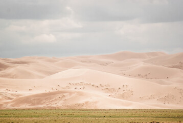 Fototapeta na wymiar Sand dunes in Gobi desert. Mongilian landscapes
