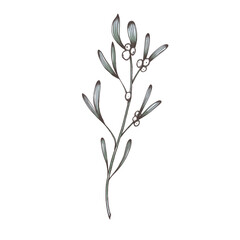 Cute white christmas mistletoe branch, holiday decoration