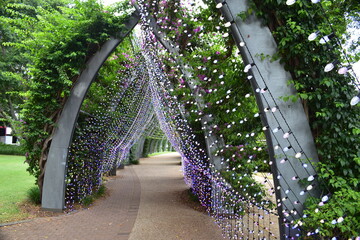 view looking along enclosed outdoor walkway with vines lit by tiny pink, purple and blue lightbulbs