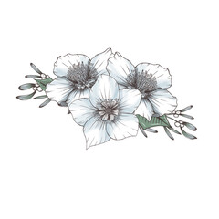 White xmas flower bouquet illustration, holiday decor element