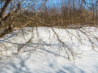 Obraz premium Shadows on the snowy surface