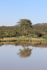  Photos taken in Pilanesberg national park, South Africa