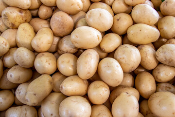 white potato in pile