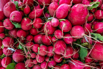 natural radishes with green leaves