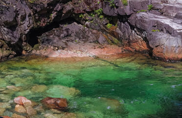 Beautiful landscape of the forest river with greenish water flowing and rocky stones.