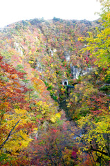 Obraz premium Train running out from tunnel in Naruko gorge, Miyagi, Japan.