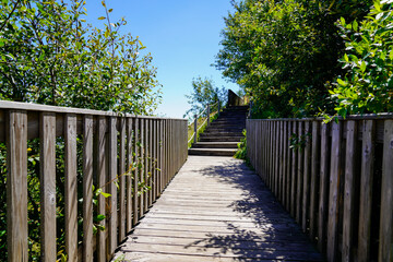 wooden pedestrian walkway path bridge go to puy de dome french mountains volcano