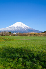 朝霧高原と富士山