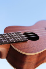 Fototapeta premium ukulélé