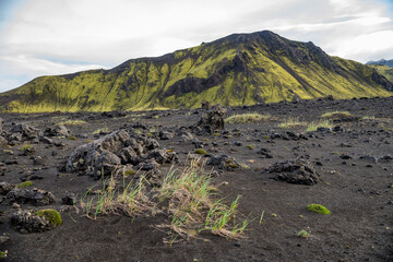 Majestic volcanic landscape covered with moss in Iceland highlands