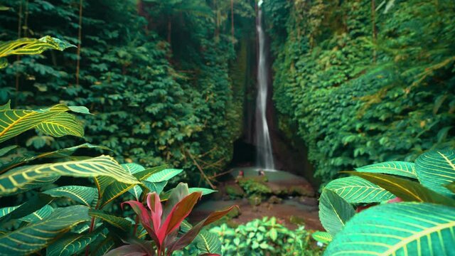 Active lifestyle travel woman enjoy amazing waterfall hidden in tropical rain forest jungle on nature background