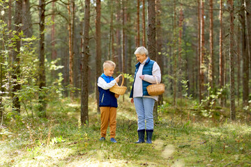 Naklejka na ściany i meble picking season, leisure and people concept - happy smiling grandmother and grandson with baskets and mushrooms in forest