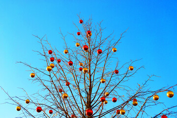 Christmas balloons on tree branches against the blue sky