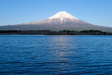 静岡県の田貫湖と富士山