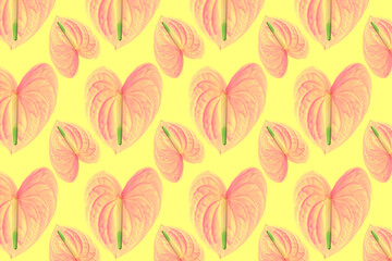 Plakat Pattern of a pink flower of different sizes on a white background.
