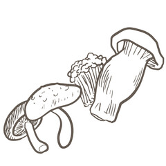 食物繊維の多い野菜、キノコ類【モノクロ】