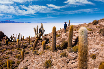 Big cactus on Incahuasi island, salt flat Salar de Uyuni, Altiplano, Bolivia.