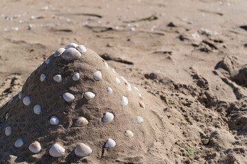 砂浜で山を作って遊ぶ