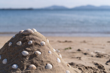 砂浜で山を作って遊ぶ
