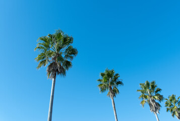 Obraz premium 開放的な気分