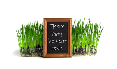 Chalk board with space for text in front of green grass on isolated white background.