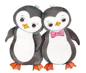 Fototapeta premium Cute cartoon little penguin, watercolor hand drawn art, illustration, icon. Isolated on white background.