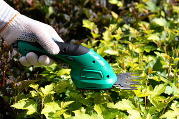 Gardener hand in protective glove cutting bushes using battery powered garden shears in summer
