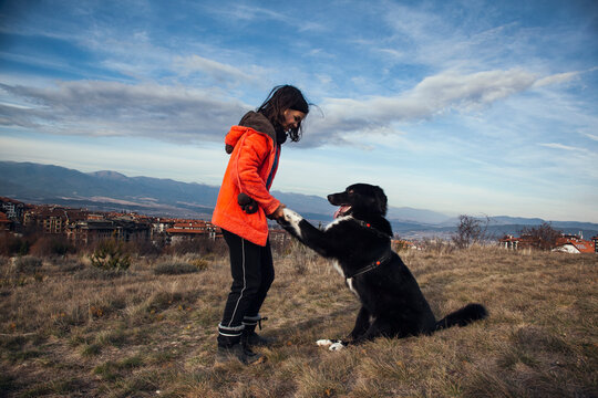 Girl and dog walk on the mountain