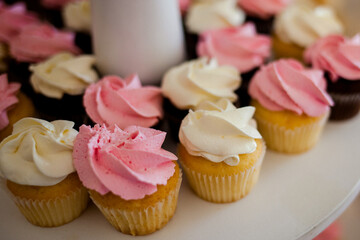 beautiful small cakes on a plate. candy bar