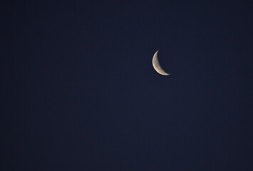 Obraz na płótnie Canvas The waning moon in the predawn sky.