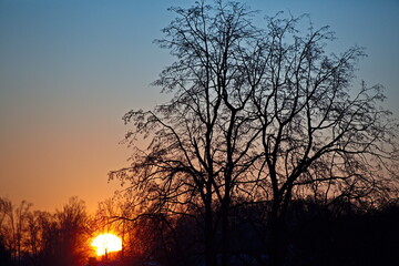 Fototapeta na wymiar Sunrise over the winter forest in the suburbs.
