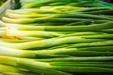 Fresh green spring onions on the farmers market. Selective focus